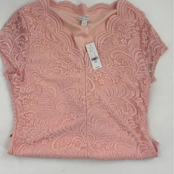 Elegant Pink Lace Women bodysuit - Picture 5 of 7